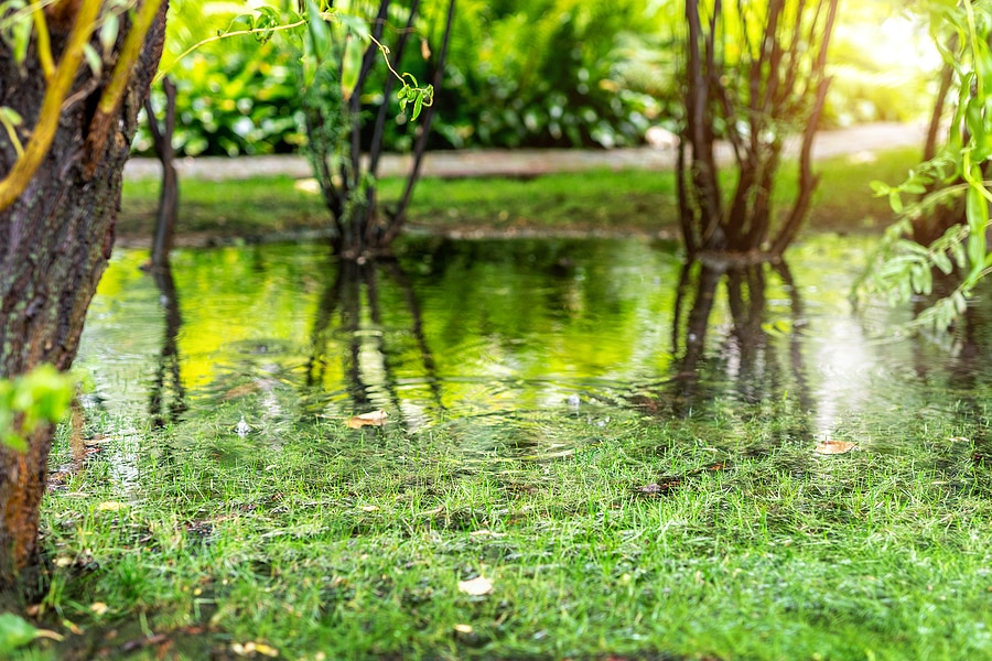 Choose A Drainage Solution To Protect Your Home And Property